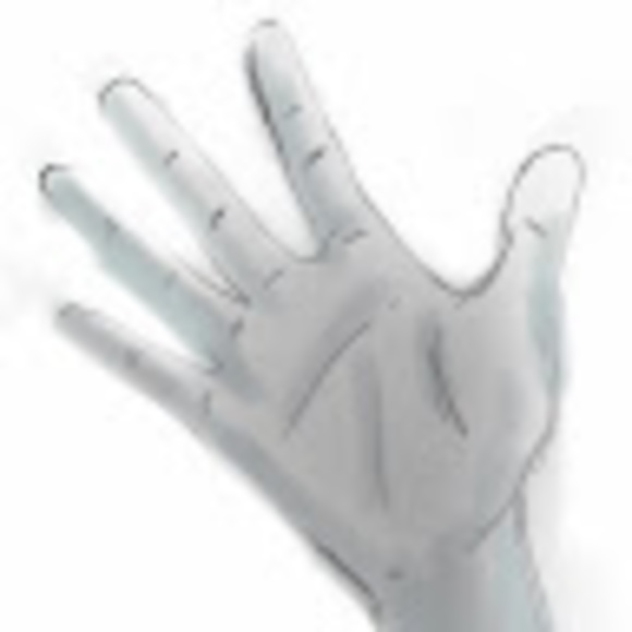 Meet your Posher, Yuki - Picture 1 of 1